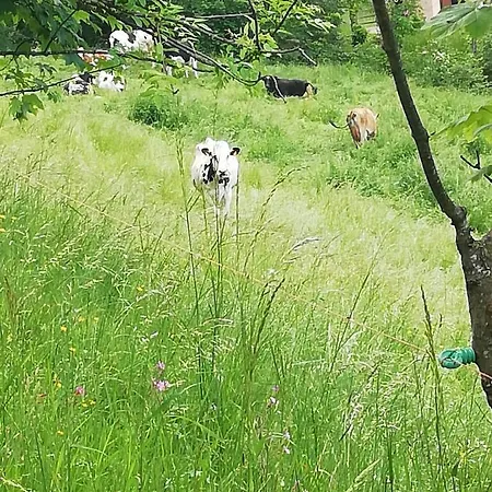 Apartmán Niki Bellagio