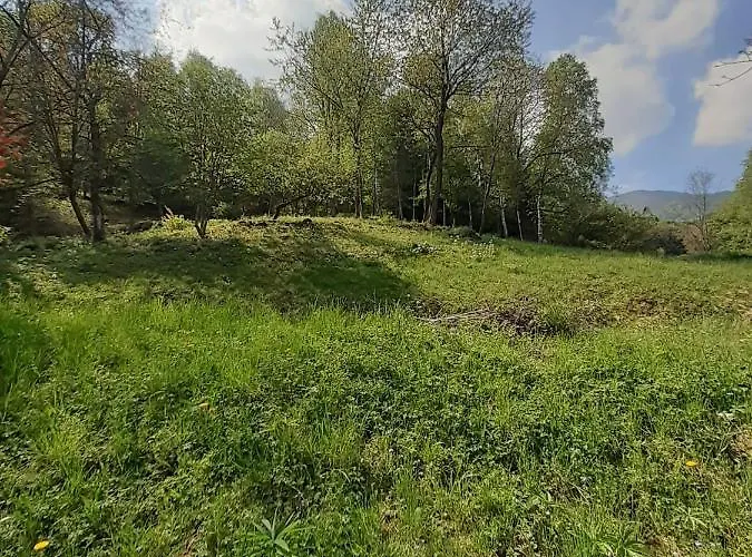 Niki Апартаменты