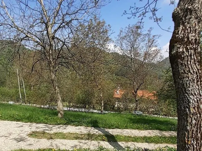 Niki * Белладжо