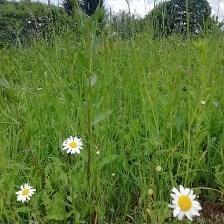Niki דירה בלאג'יו