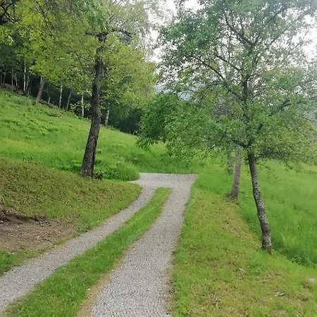 Niki *